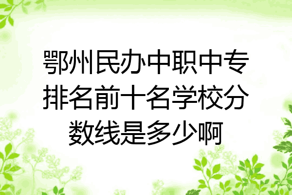 鄂州民办中职中专排名前十名学校分数线是多少啊
