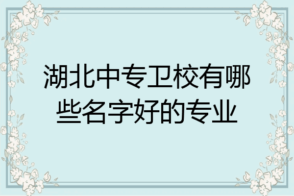 湖北中专卫校有哪些名字好的专业
