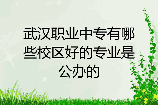 武汉职业中专有哪些校区好的专业是公办的