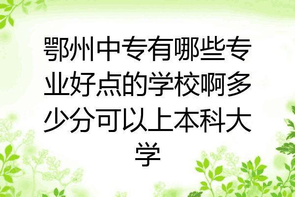 鄂州中专有哪些专业好点的学校啊多少分可以上本科大学