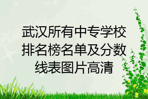 武汉所有中专学校排名榜名单及分数线表图片高清