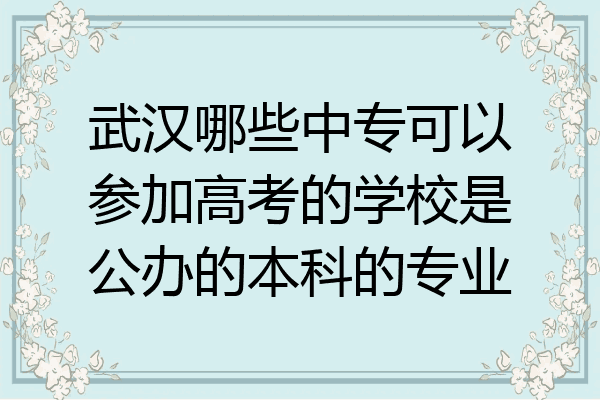 武汉哪些中专可以参加高考的学校是公办的本科的专业
