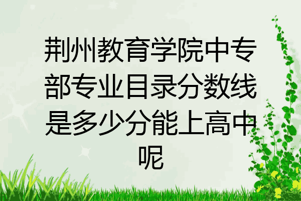 荆州教育学院中专部专业目录分数线是多少分能上高中呢