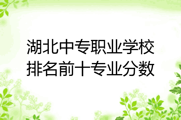 湖北中专职业学校排名前十专业分数