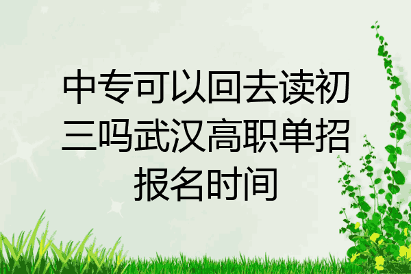 中专可以回去读初三吗武汉高职单招报名时间