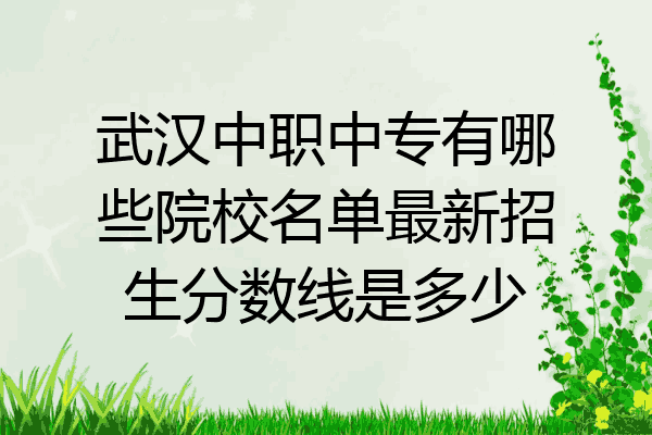 武汉中职中专有哪些院校名单最新招生分数线是多少