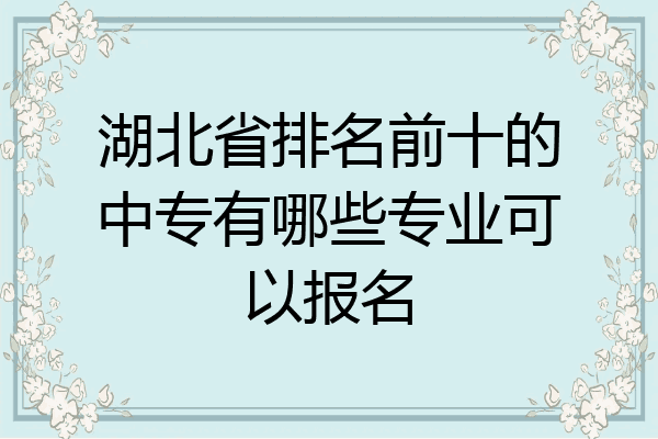 湖北省排名前十的中专有哪些专业可以报名