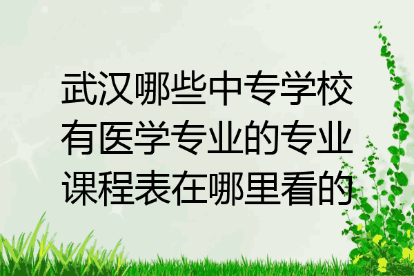 武汉哪些中专学校有医学专业的专业课程表在哪里看的
