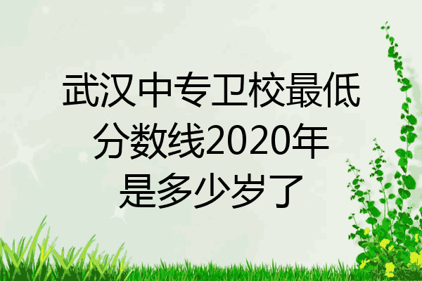 武汉中专卫校最低分数线2020年是多少岁了