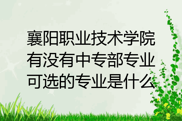 襄阳职业技术学院有没有中专部专业可选的专业是什么