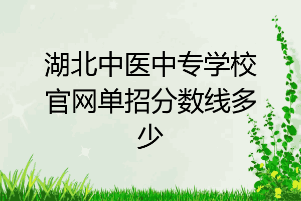 湖北中医中专学校官网单招分数线多少