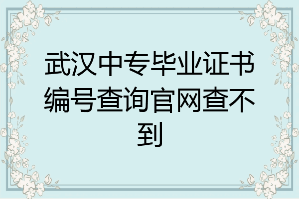 武汉中专毕业证书编号查询官网查不到