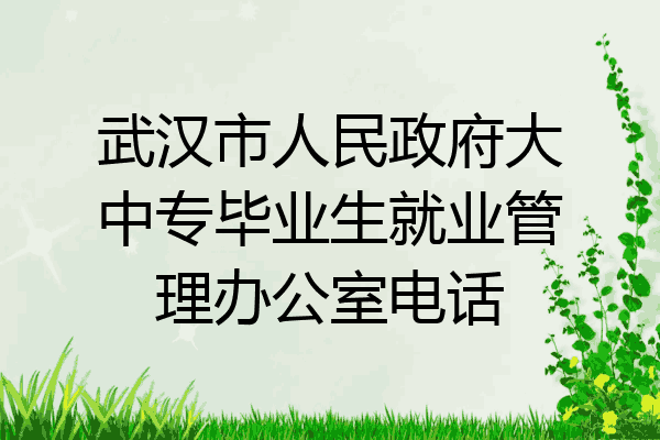 武汉市人民政府大中专毕业生就业管理办公室电话