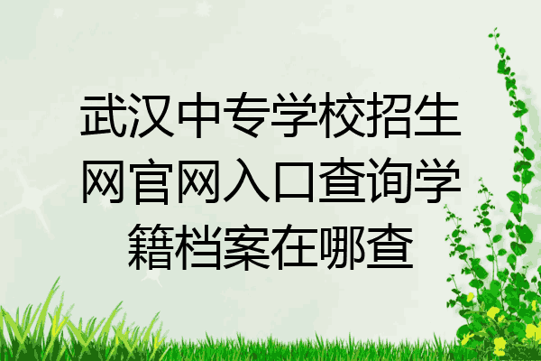 武汉中专学校招生网官网入口查询学籍档案在哪查