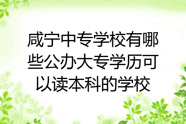 咸宁中专学校有哪些公办大专学历可以读本科的学校