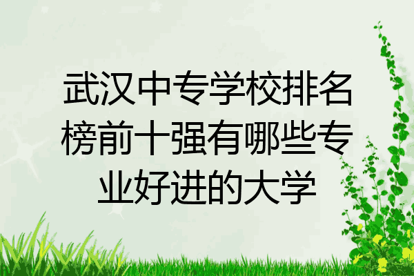武汉中专学校排名榜前十强有哪些专业好进的大学