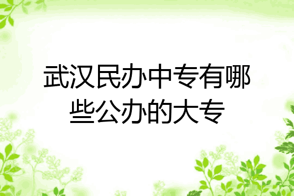 武汉民办中专有哪些公办的大专