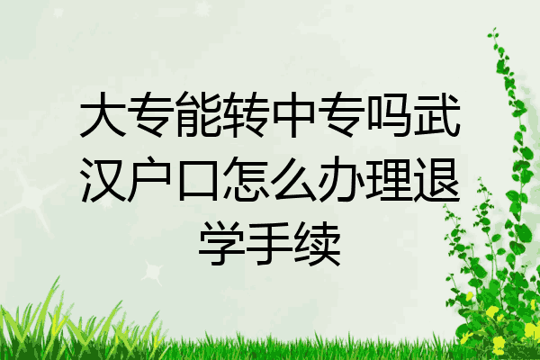 大专能转中专吗武汉户口怎么办理退学手续