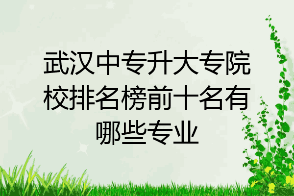 武汉中专升大专院校排名榜前十名有哪些专业