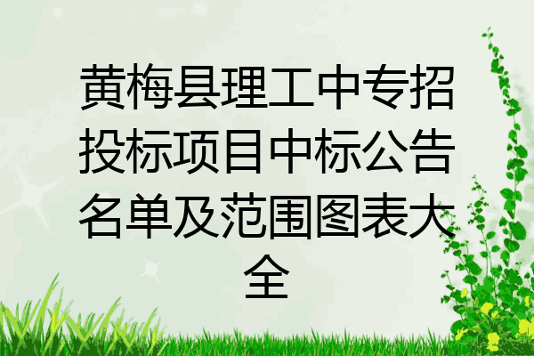 黄梅县理工中专招投标项目中标公告名单及范围图表大全