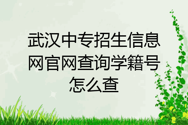 武汉中专招生信息网官网查询学籍号怎么查