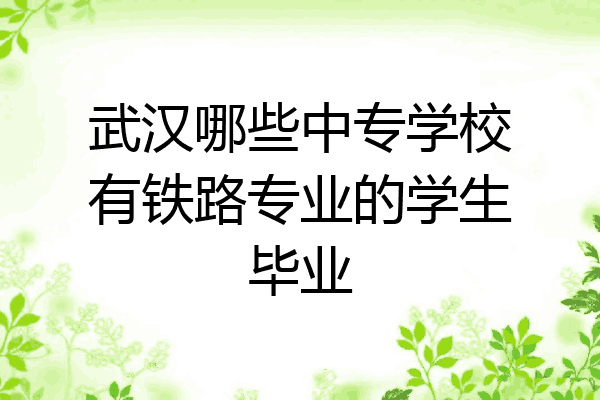 武汉哪些中专学校有铁路专业的学生毕业