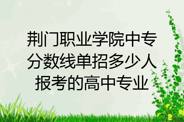 荆门职业学院中专分数线单招多少人报考的高中专业