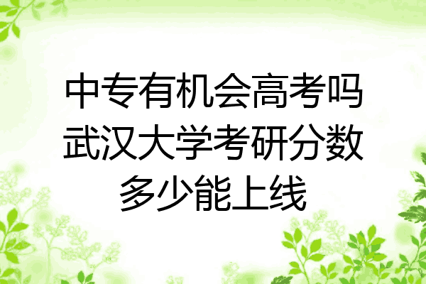 中专有机会高考吗武汉大学考研分数多少能上线