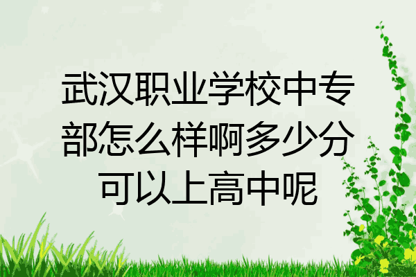 武汉职业学校中专部怎么样啊多少分可以上高中呢