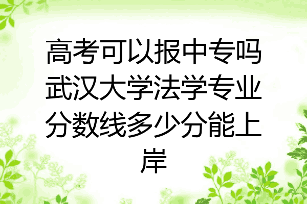 高考可以报中专吗武汉大学法学专业分数线多少分能上岸