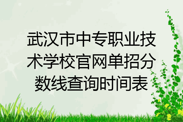 武汉市中专职业技术学校官网单招分数线查询时间表