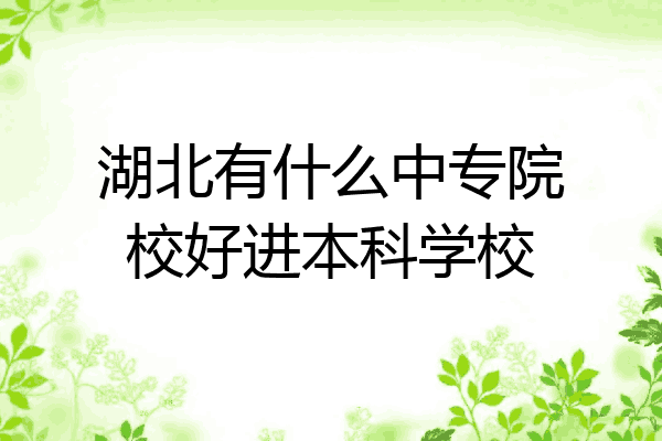 湖北有什么中专院校好进本科学校