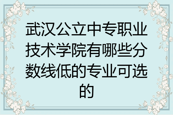 武汉公立中专职业技术学院有哪些分数线低的专业可选的