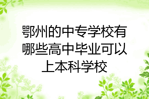 鄂州的中专学校有哪些高中毕业可以上本科学校