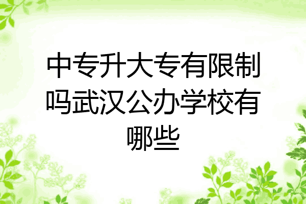 中专升大专有限制吗武汉公办学校有哪些