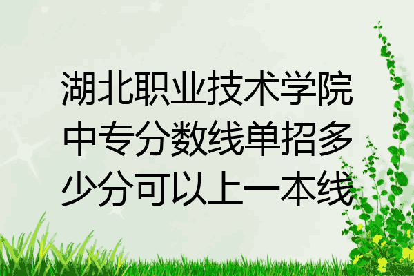 湖北职业技术学院中专分数线单招多少分可以上一本线
