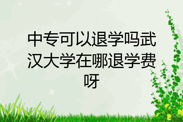 中专可以退学吗武汉大学在哪退学费呀