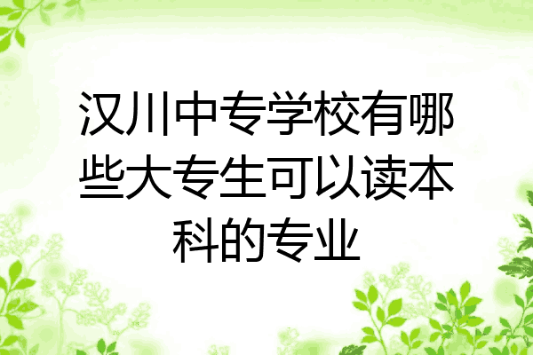 汉川中专学校有哪些大专生可以读本科的专业