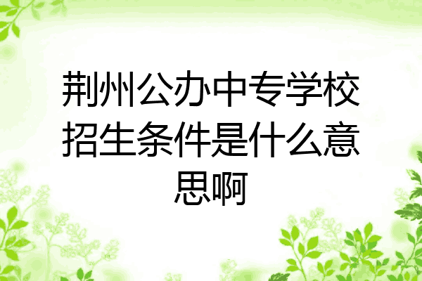 荆州公办中专学校招生条件是什么意思啊