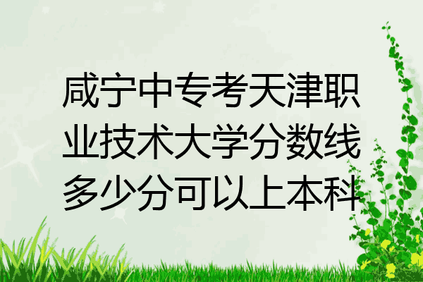 咸宁中专考天津职业技术大学分数线多少分可以上本科