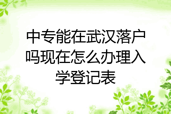 中专能在武汉落户吗现在怎么办理入学登记表