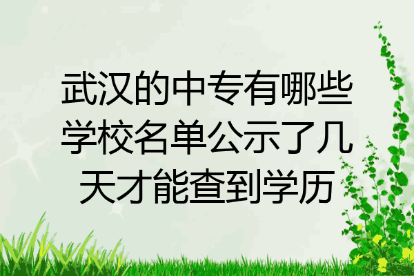 武汉的中专有哪些学校名单公示了几天才能查到学历