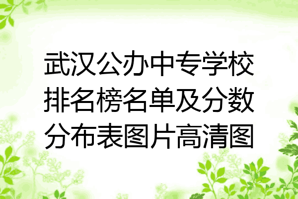 武汉公办中专学校排名榜名单及分数分布表图片高清图