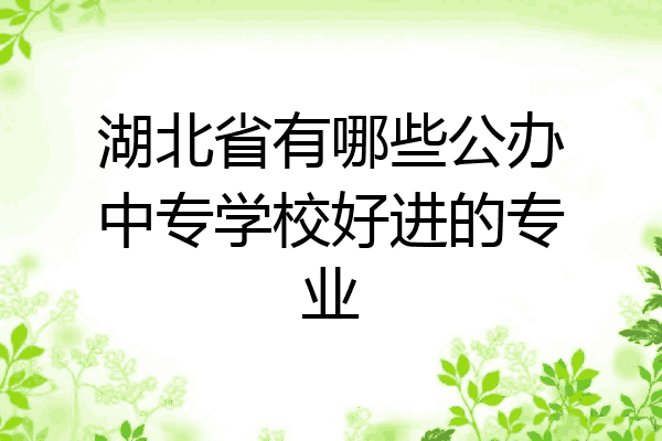 湖北省有哪些公办中专学校好进的专业