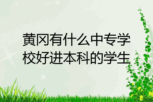 黄冈有什么中专学校好进本科的学生