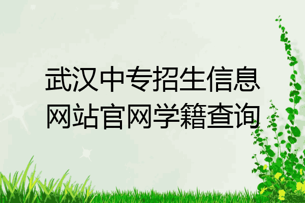 武汉中专招生信息网站官网学籍查询