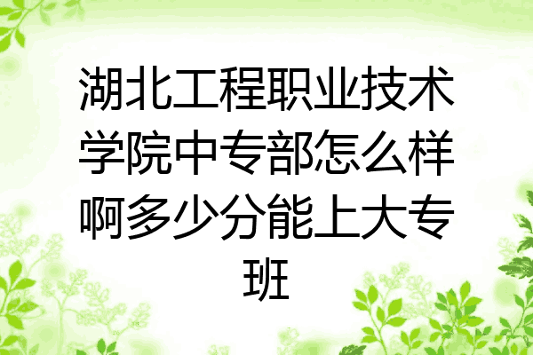 湖北工程职业技术学院中专部怎么样啊多少分能上大专班