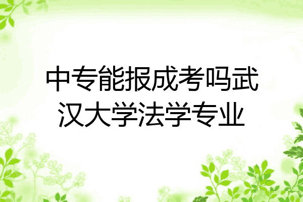 中专能报成考吗武汉大学法学专业