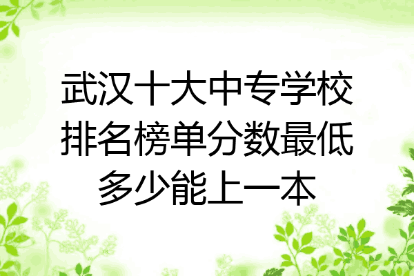 武汉十大中专学校排名榜单分数最低多少能上一本