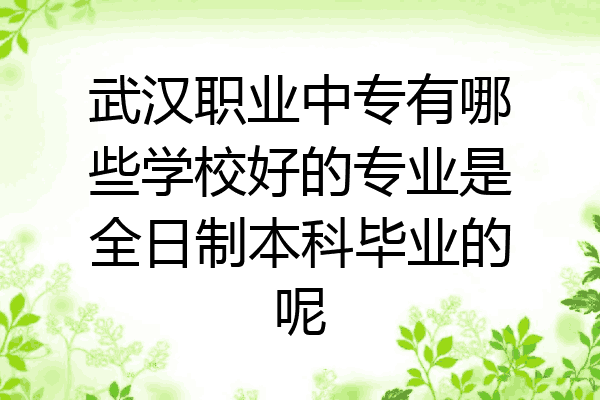 武汉职业中专有哪些学校好的专业是全日制本科毕业的呢